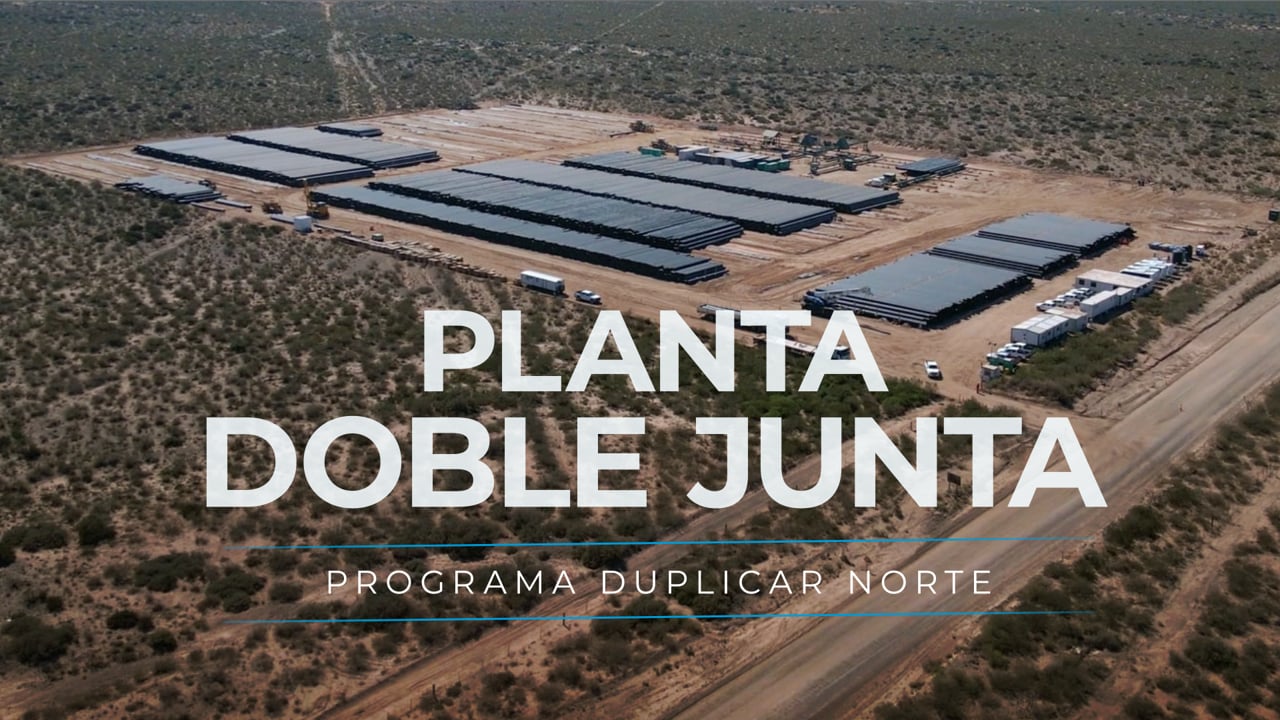 Planta de doble junta