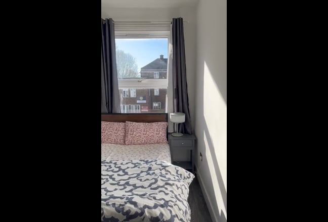 Female Roommate Wanted Main Photo