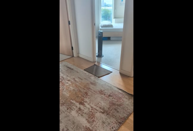 Large Double Room in Modern 2-Bed Apartment Main Photo