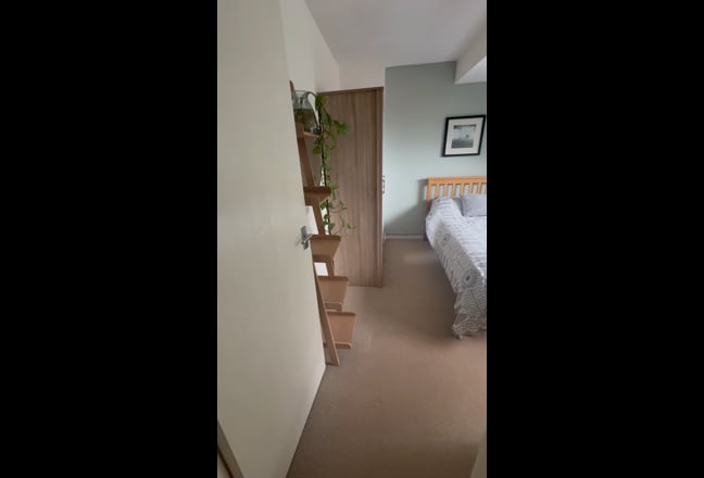 Video 1: 