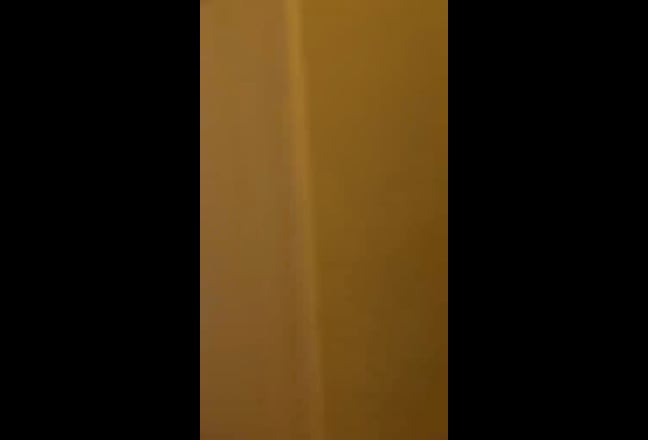 Video 1: 