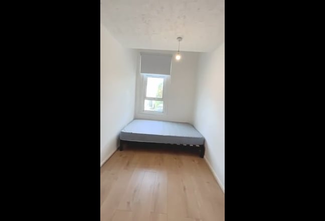 Double room available in airy houseplant home Main Photo