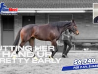 Proisir x I get It Filly with Sam Freedman