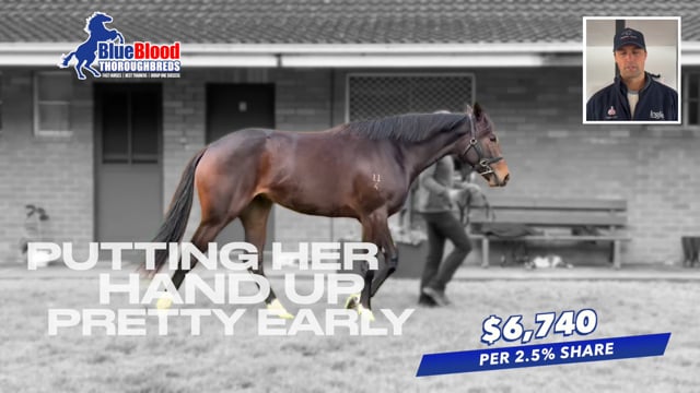 Proisir x I get It Filly with Sam Freedman