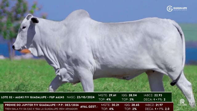 Lote 02