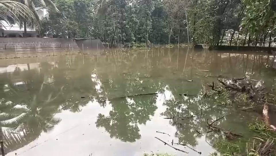video image
