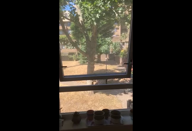 Video 1: 