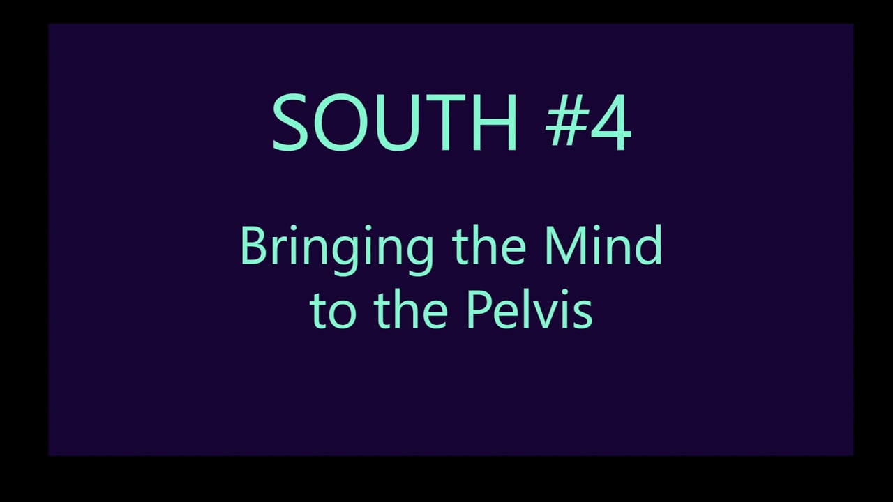 Mov29_SOUTH#4_Moving the Mind to the Pelvic Floor