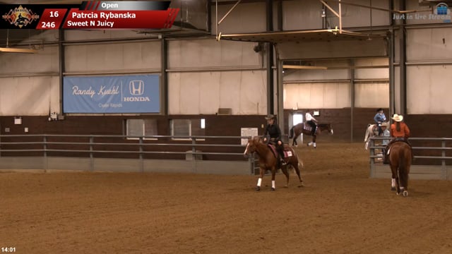 #246 Patrcia Rybanska