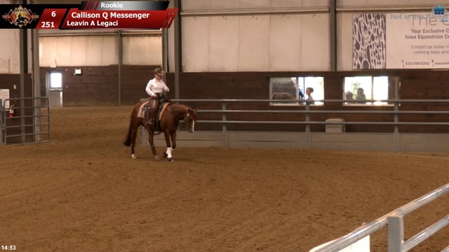 #251 Callison Q Messenger