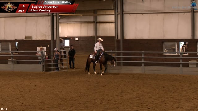 #297 Baylee Anderson