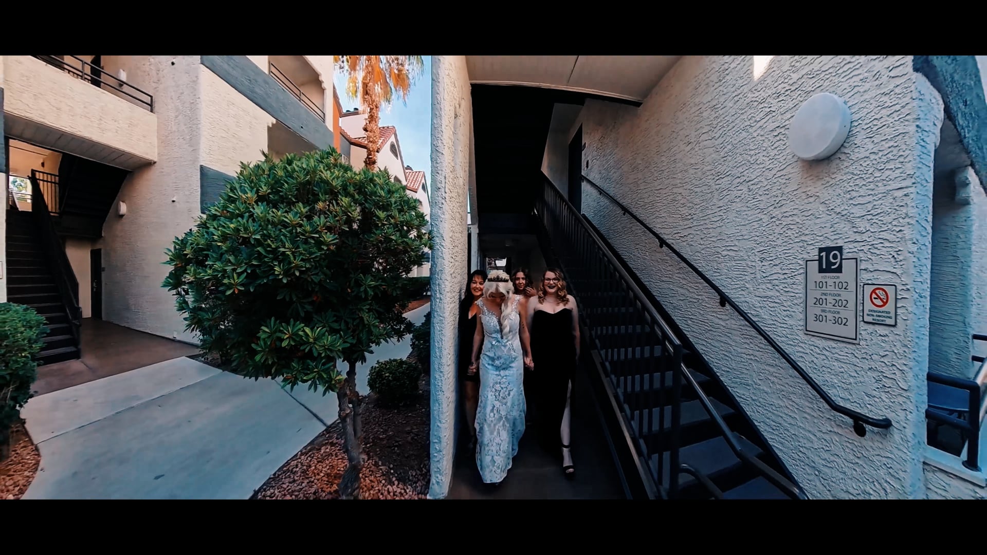 Promotional video thumbnail 3 for Schaffner's Captures
