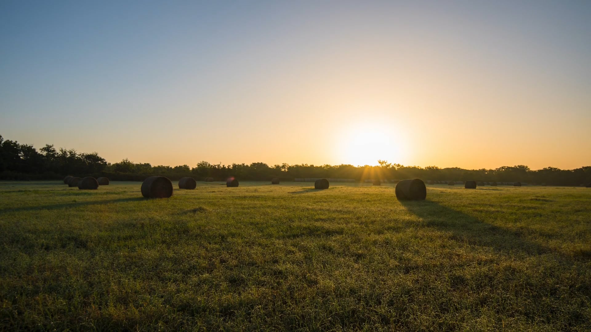 Nowlin Ranch