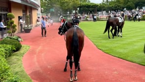 動画サムネイル