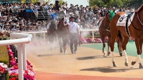動画サムネイル
