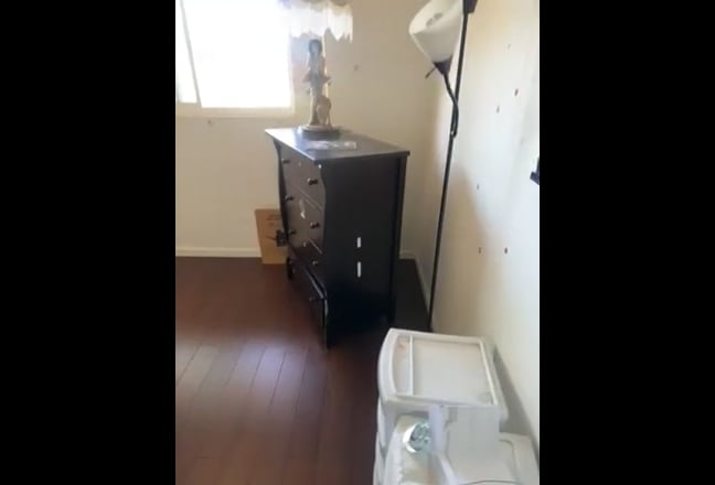 3 Bedroom House in Downey (one roommate) Main Photo