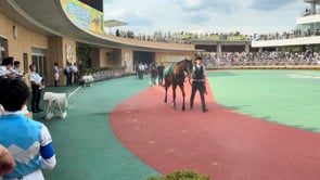 動画サムネイル