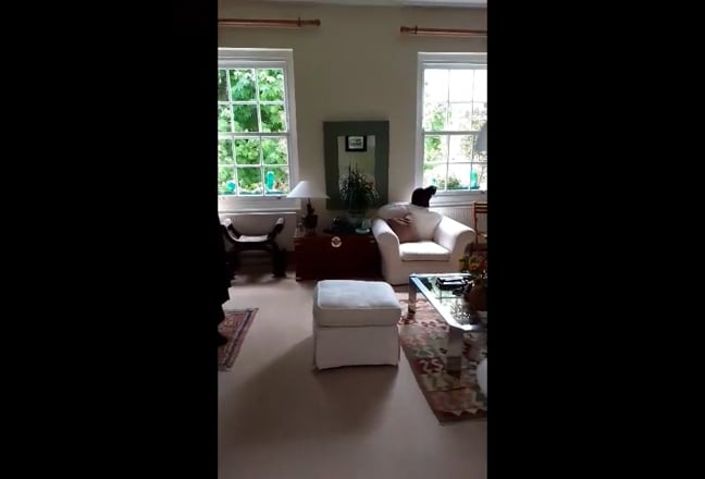 Quiet Single Room for Mid-Week Only Let. Main Photo