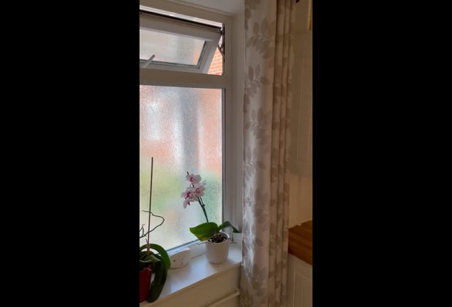 Video 1: 