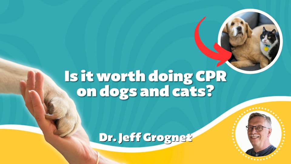 Is it worth doing CPR on dogs and cats?