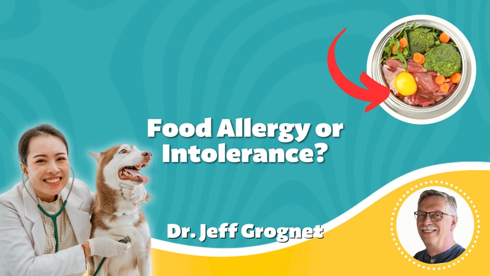 Food Allergy or Intolerance?