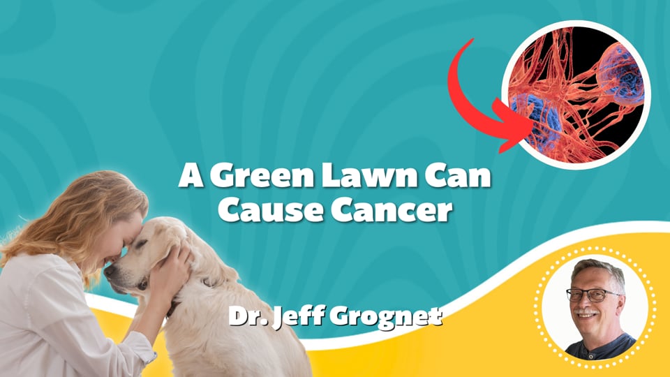 A Green Lawn Can Cause Cancer