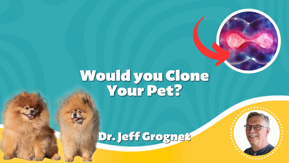 Would you Clone Your Pet?