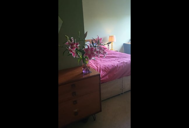 Large double room to let in Jericho Main Photo