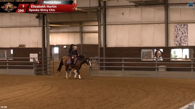 #290 Elizabeth Hartin