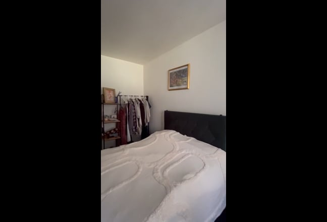 Double in 2 Bed Garden Flat with French Bulldog Main Photo
