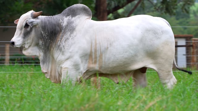 TAKEO KA