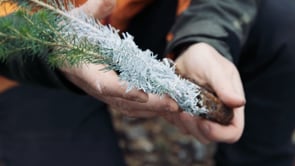 Related Embedded Video Item Thumbnail