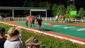 動画サムネイル