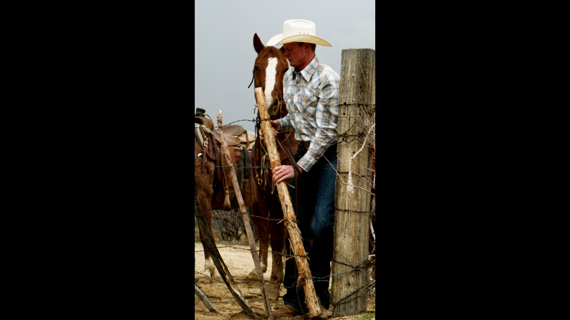 Stetson "Shirts" / Social
