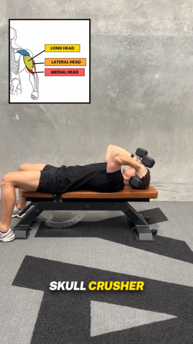 Dumbbell Tricep Extension