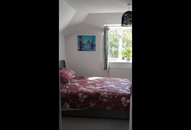 Video 1: 