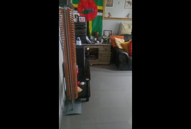 Video 1: 