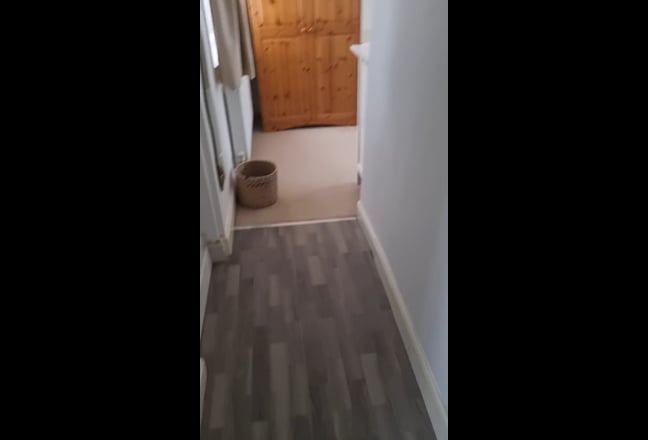 Video 1: 