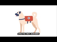 1.2 Your First Responder Kit