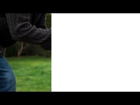 Dog Training: 1.2 The Meaning of Sound