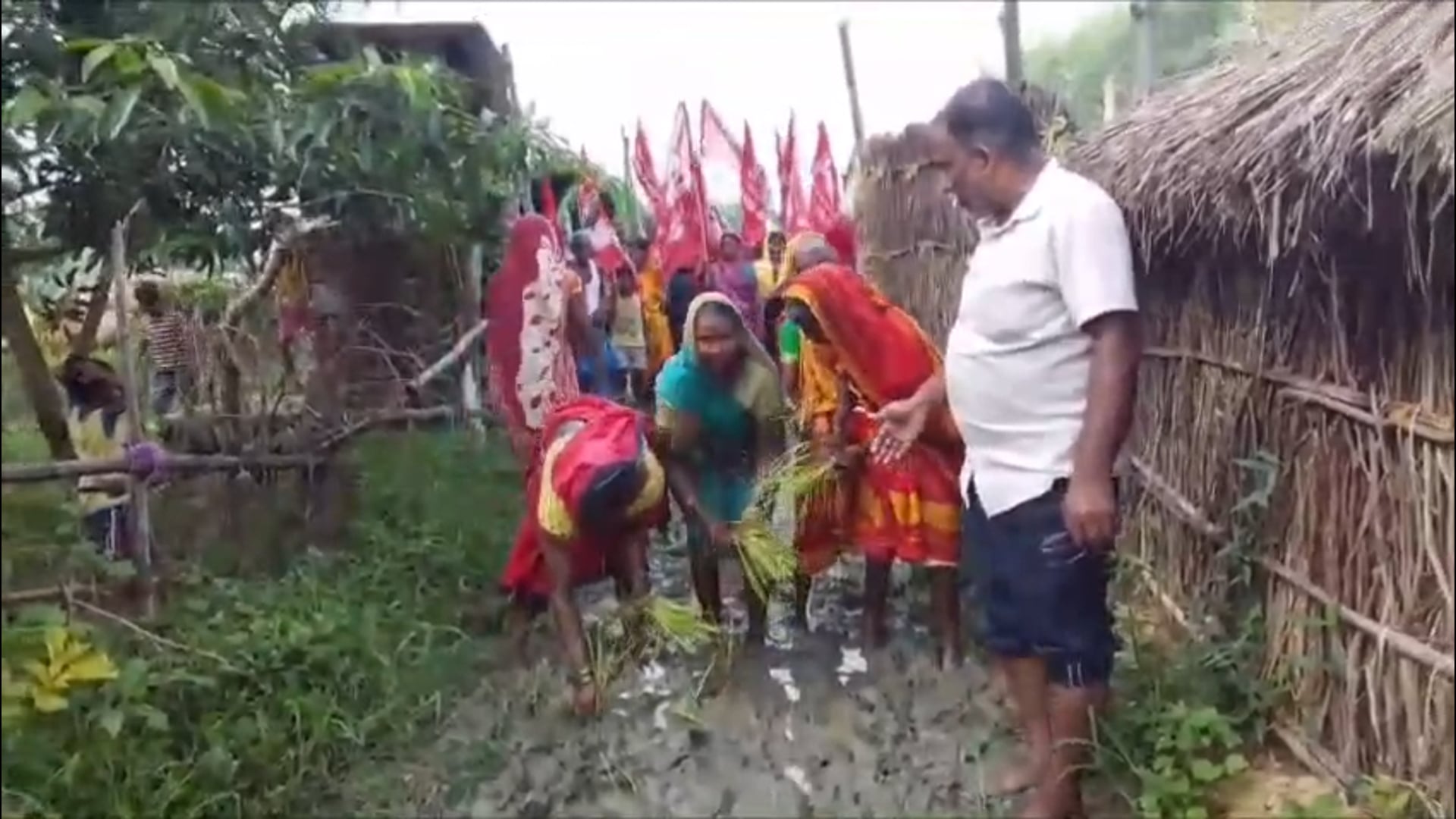 कच्ची सड़क बनी धान का खेत, लाल झंडे तले ग्रामीणों ने सरकार को दिखाया आईना