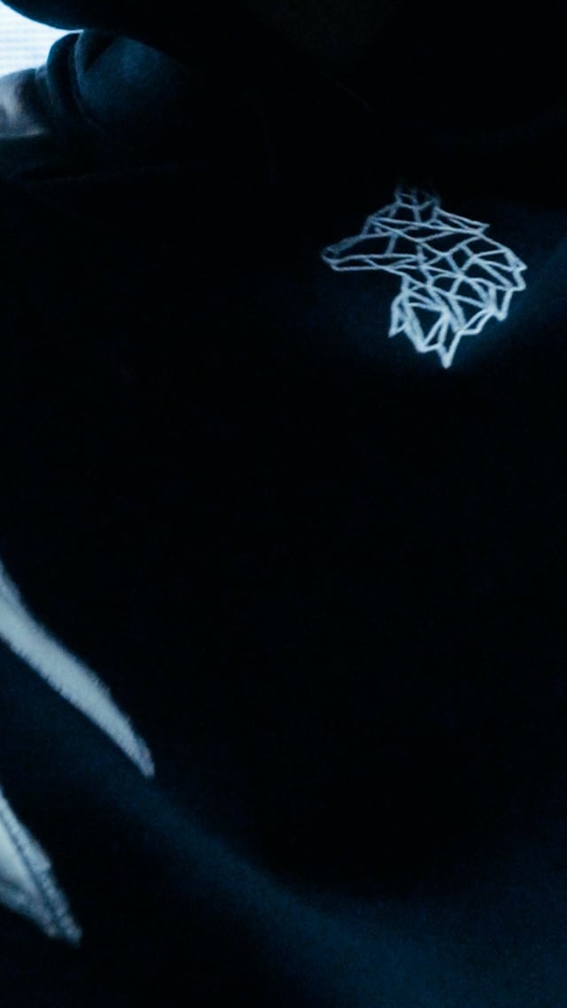 Wolf Skin