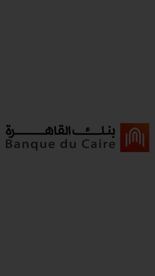 Nour El Shrbini