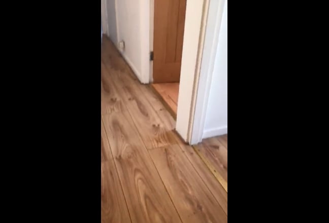 Video 1: 