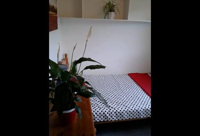 Cute quiet double room near Mill Rd Main Photo