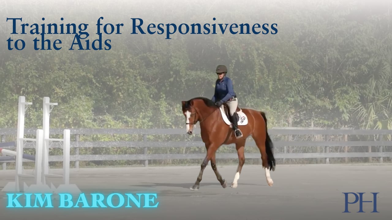 Training for Responsiveness to the Aids | Kim Barone