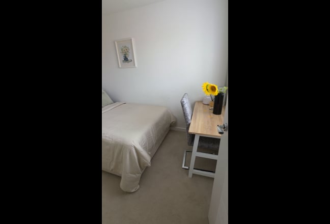 Single room for female professional Main Photo