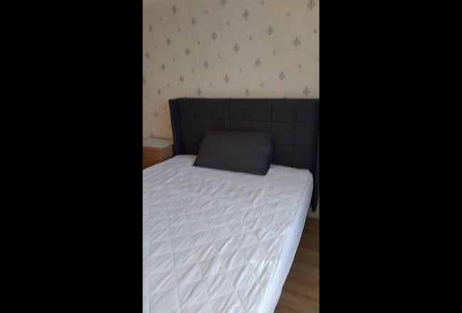 Spacious double bedroom 9 mins to Tube Main Photo