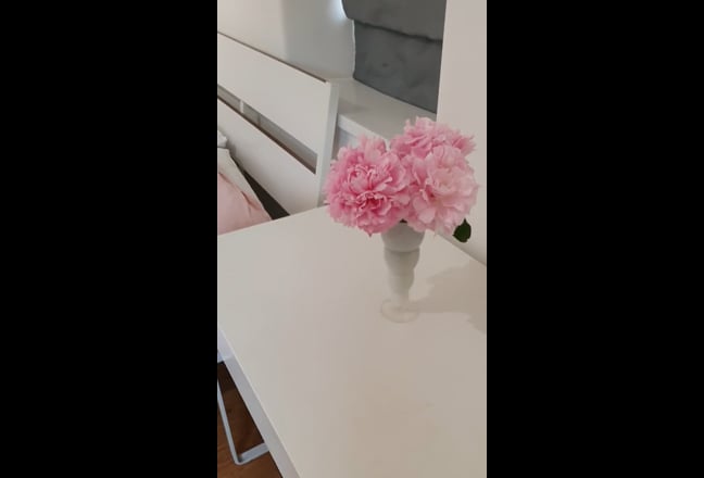 2 refurbished rooms, cleaner, all bills Main Photo