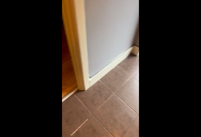 Two friendly flatmates looking for a third Main Photo